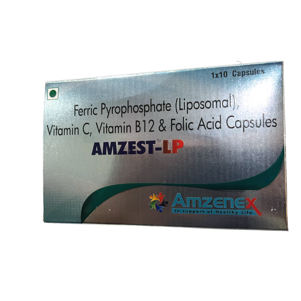Amzest-LP-1024x1024